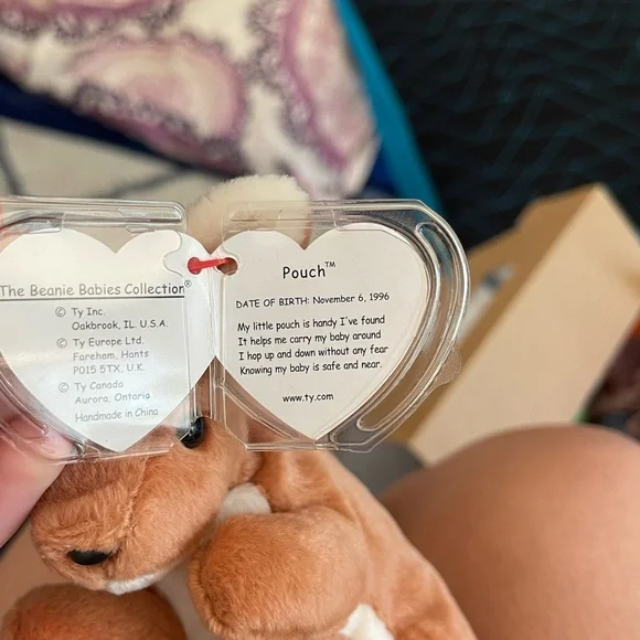 Ty “pouch” beanie baby